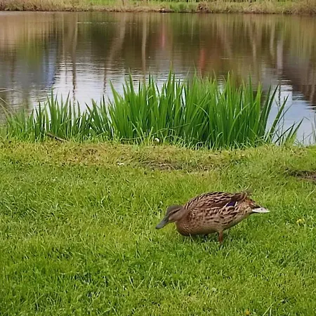 Nad Stawem Mazury D1 Dom wakacyjny Mrągowo