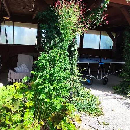 Nad Stawem Mazury D1 *